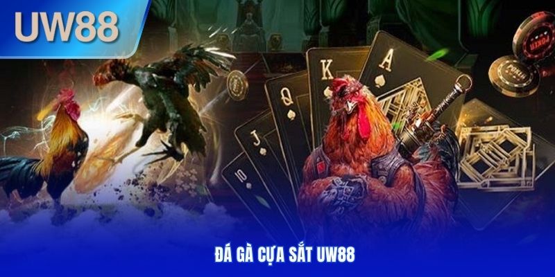 Đá gà cựa sắt